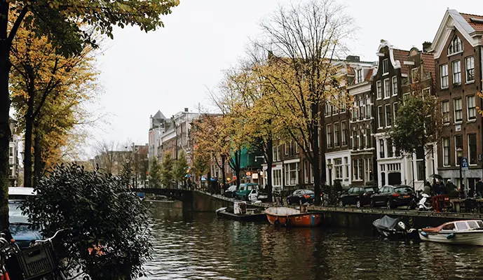 Combo: Rijksmuseum + Amsterdam History - City Center Guided Tour - Image 7